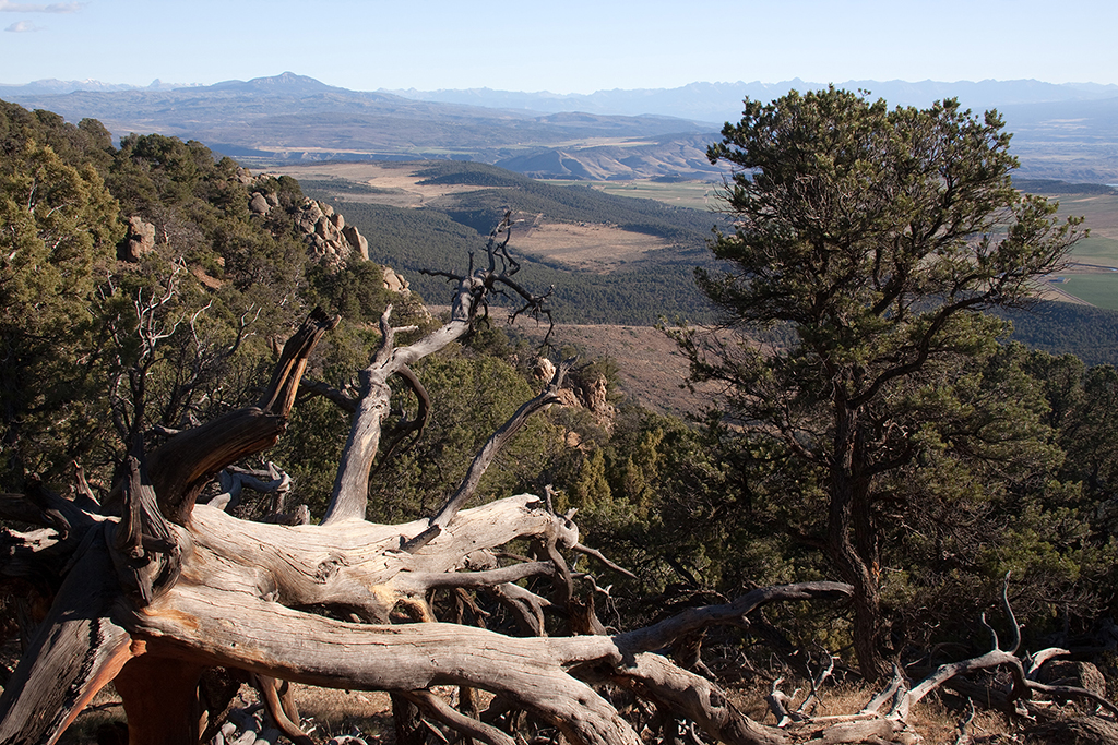 15_Black Canyon of the Gunnison South Rim_08.jpg